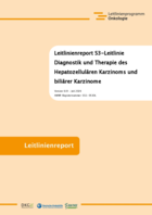 S3_LL_HCC_und_CCA_Konsultationsfassung_Leitlinienreport_6.01.pdf